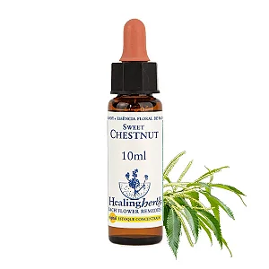 Sweet Chestnut – Floral de Bach Healingherbs 10ml