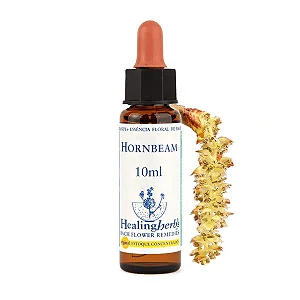 Hornbeam – Floral de Bach Healingherbs 10ml