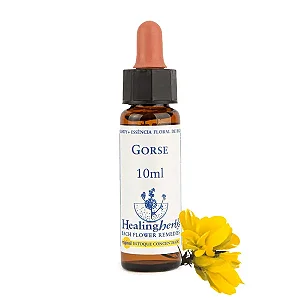 Gorse – Floral de Bach Healingherbs 10ml
