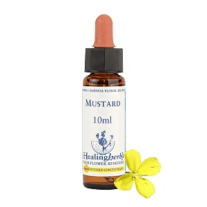 Mustard – Floral de Bach Healingherbs 10ml