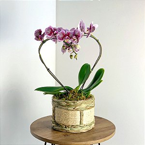 Orquídea Roxa Coração em Cestaria