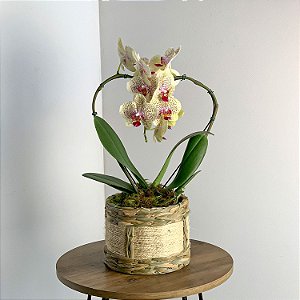 Orquídea Amarela Coração em Cestaria