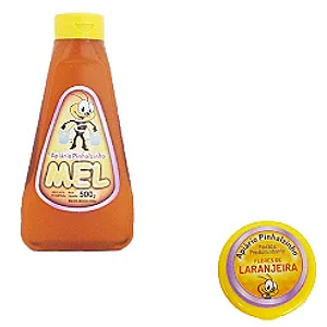 Mel Florada Laranjeira 500g Pinhalzinho