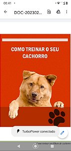 E-book como cuidar cão