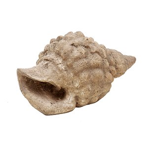 FIGURA DECORATIVA CONCHA