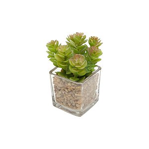 VASO DE VIDRO C/SUCULENTA DE PLÁSTICO E PEDRAS 7,6x10,8cm