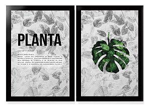QUADRO DECORATIVO 2 PÇS PRETO PLANTA 53x33x3CM