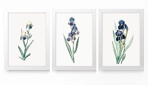 QUADRO DECORATIVO 3 PÇS BRANCO NATURE 43X33X1CM