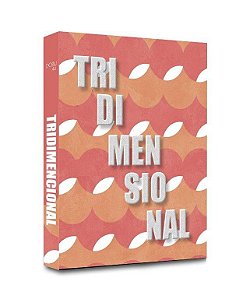 CAIXA LIVRO TRIDIMENSIONAL 30X24X4CM