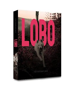 CAIXA LIVRO LOBO 30X24X4CM
