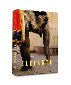 CAIXA LIVRO ELEFANTE 30X24X4CM