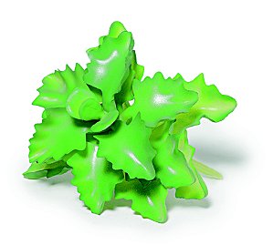 SUCULENTA PERMANENTE