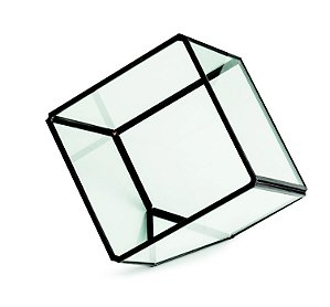 TERRARIO PRETO EM VIDRO E LATAO