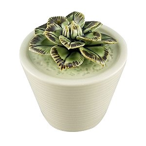 VASO COM SUCULENTA DE CERAMICA 6,8CM X 6,8CM X 6,7CM
