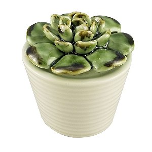 VASO COM SUCULENTA DE CERAMICA 6,9CM X 6,9CM X 7CM