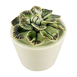 VASO COM SUCULENTA DE CERAMICA 8,5CM X 8,5CM X 9,5CM