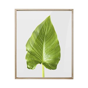 TELA COM IMPRESSAO DE FOLHA 40CM X 48CM X 2CM