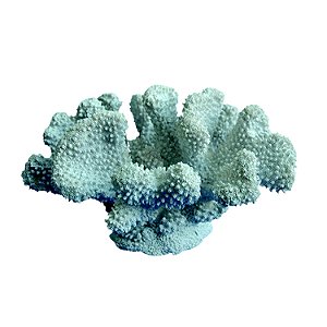 CORAL DECORATIVO DE CERAMICA