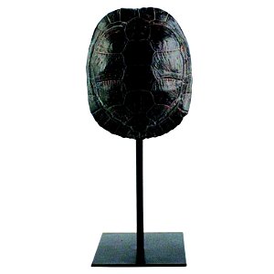 CASCO DE TARTARUGA DECORATIVO DE RESINA
