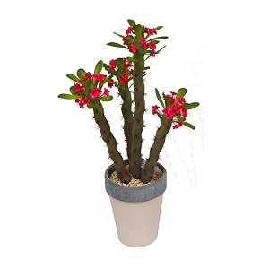 CACTO DECORATIVO EM PLASTICO E CERAMICA BEGE E CINZA 16CM X