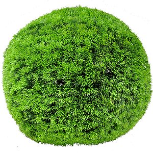 BUCHINHO BOLA DE GRAMA ARTIFICIAL