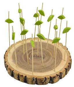 JG DE PETISQUEIRA COM 16 PECAS EM MADEIRA D20XA1,5CM