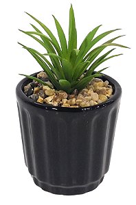 VASO SUCULENTA BASIC CERAMICA E PLASTICO 7X12CM COR PRETA