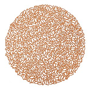 LUGAR AMERICANO DE PLÁSTICO GARDEN ROSÉ 38cm