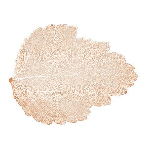 LUGAR AMERICANO DE PLÁSTICO AUTUMN LEAF ROSÉ 47x38cm