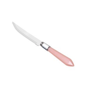CJ 6 FACAS CHURRASCO AÇO INOX CABO PLÁSTICO MOTHER ROSA 23cm