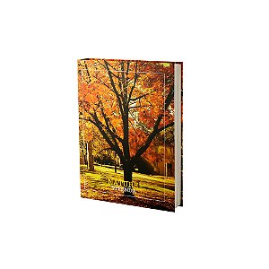 CAIXA LIVRO PAPEL RÍGIDO NATURE VIVENDA 36x27x5cm