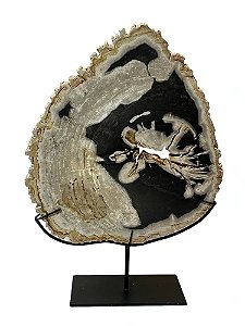 PLACA BALI MADEIRA PETRIFICADA MESCLA COM SUPORTE 40CM