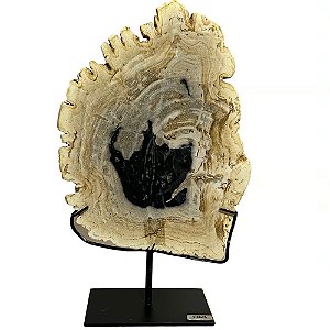 PLACA BALI MADEIRA PETRIFICADA MESCLA CLARA COM SUPORTE 36CM