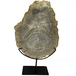 PLACA BALI MADEIRA PETRIFICADA CLARA COM SUPORTE 31CM