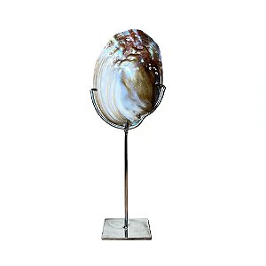 CASTICAL DECORATIVO OCEAN ART COLLETION EM CONCHA NATURAL COM SUPORTE 34CM