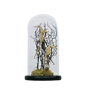 PECA DECORATIVA CAVALO MARINHO RESINA DOURADO CUPULA VIDRO TRANSP BASE MADEIRA