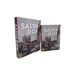 CJ DE LIVROS CAIXA SALVADOR BRANCO E MARROM 2PCS