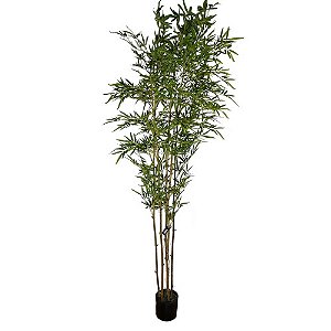 ÁRVORE BAMBU MOSSO 220CM