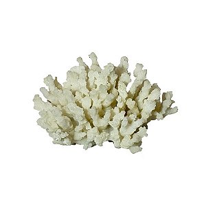CORAL DECORATIVO BEGE EM RESINA COLEÇÃO OCEAN & ART  L13CM X A08CM