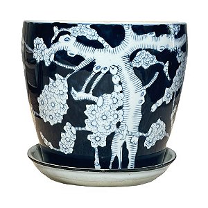 CACHEPOT PORCELANA AZUL E PRETA BONSAI GRANDE D25CM X A23CM