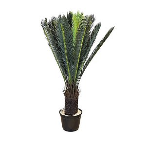 ÁRVORE CYCAS REVOLUTA PERMANENTE L44CM X A93CM X P44CM