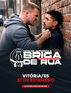 17. INICIO DE AGRESSÃO E BRIGA DE RUA - VITÓRIA, ES