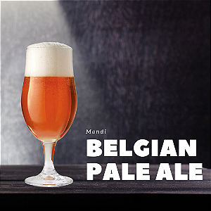 Kit Receita Belgian Pale Ale