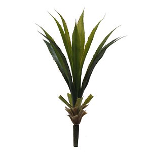 Buquê De Folhas de Aloe