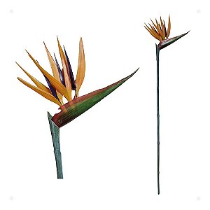 Estrelitzia Estrelicia Artificial Média Premium 70cm