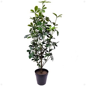 Cheflera Scheflera Arboricola Artificial Premium 95CM