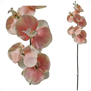 Orquidea Phalaenopsis Salmão Com 5 Flores Artificial Premium