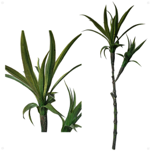 Galho 2 Dracenas Artificial Premium Luxo 85cm
