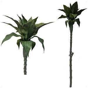 Galho de Dracena Artificial Premium Toque Real 80CM
