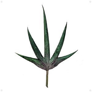 Mini Agave Cacto Artificial Premium Luxo 20CM Kit com 2